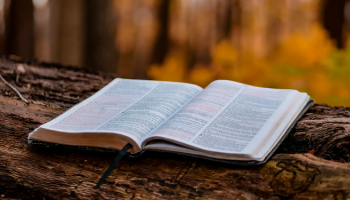 Rebutlah Pagi Hari Anda