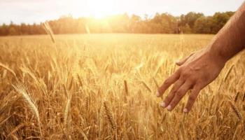 8 Langkah Sederhana Memahami Perumpamaan Yesus