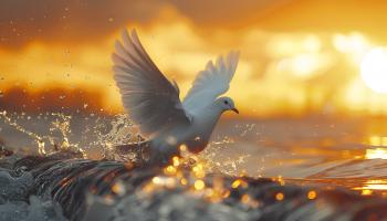 Ingin Menjadi Orang Kristen Amanat Agung? Andalkanlah Roh Kudus