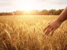 8 Langkah Sederhana Memahami Perumpamaan Yesus